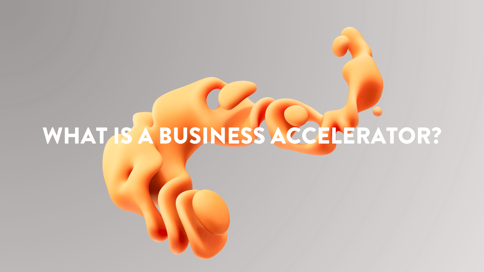 What is a business accelerator